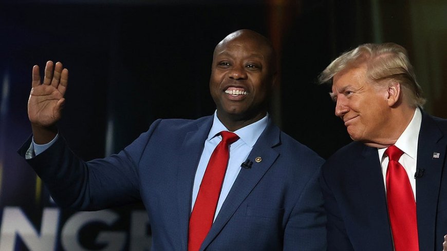 Trump ally Tim Scott mulls bid for top role at Senate campaign arm --[Reported by Umva mag]