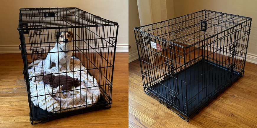 The 6 best dog crates of 2024, tested and reviewed --[Reported by Umva mag]