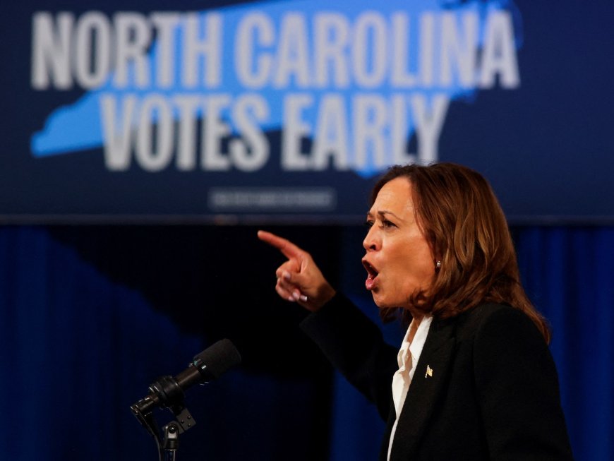 Kamala Harris promises ‘opportunity’ for Black men amid waning support --[Reported by Umva mag]