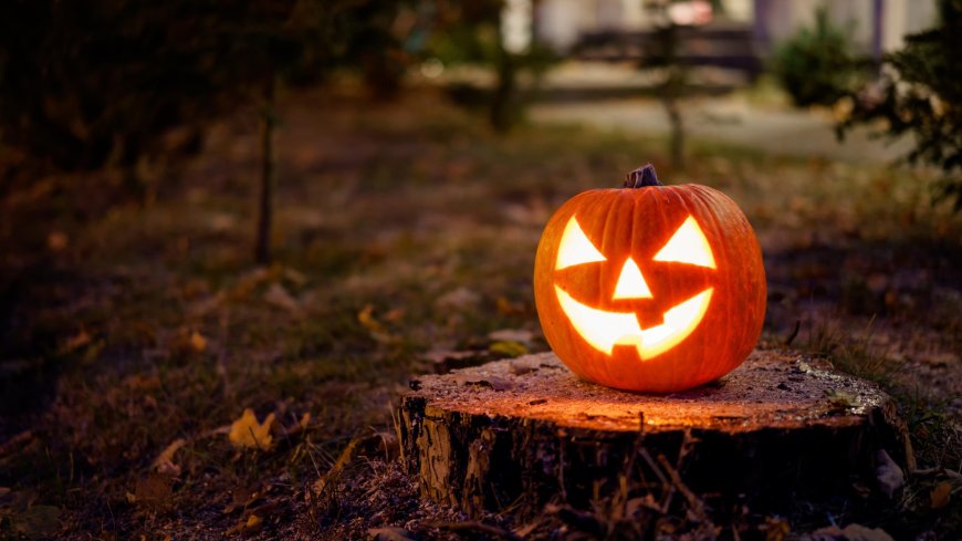 Shoppers rush to buy giant Halloween decoration that will stun neighbours scanning for £25 instead of £140 --[Reported by Umva mag]