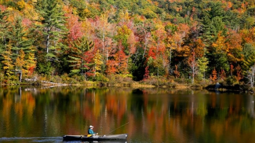 Leaf-peepers are flocking to see New England's brilliant fall colors --[Reported by Umva mag]