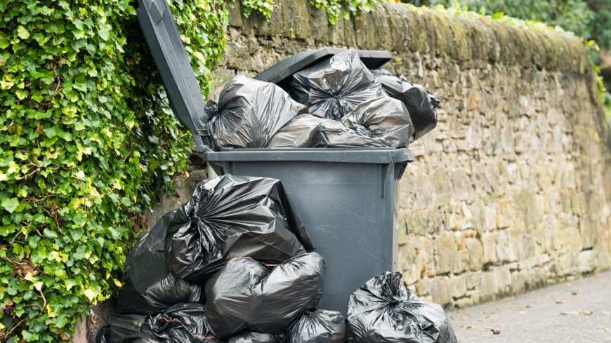 Huge bin collection change affecting 100,000 Brits could hit in weeks – know the rules & be prepared --[Reported by Umva mag]