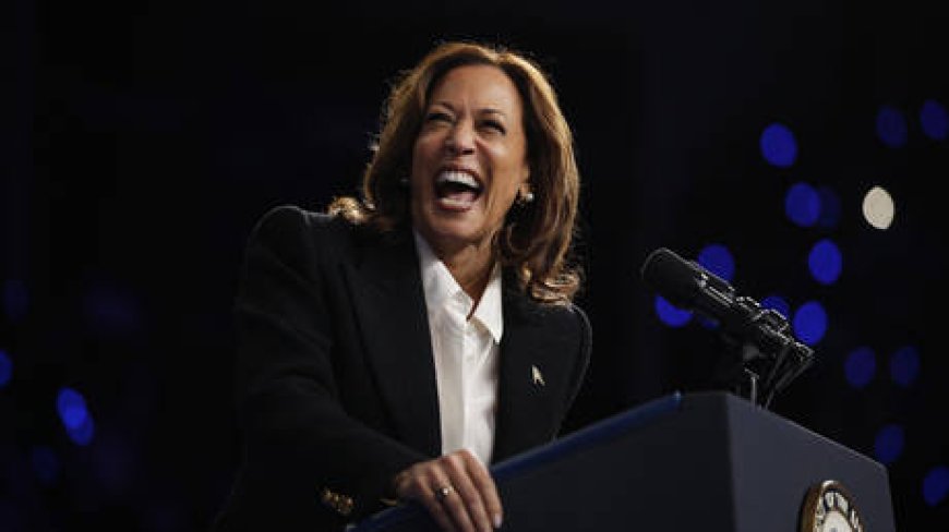 Harris laughs over ‘election packed with some stuff’ (VIDEO) --[Reported by Umva mag]