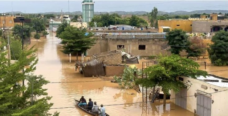 Senegal faces rising floodwaters as river levels reach critical levels --[Reported by Umva mag]