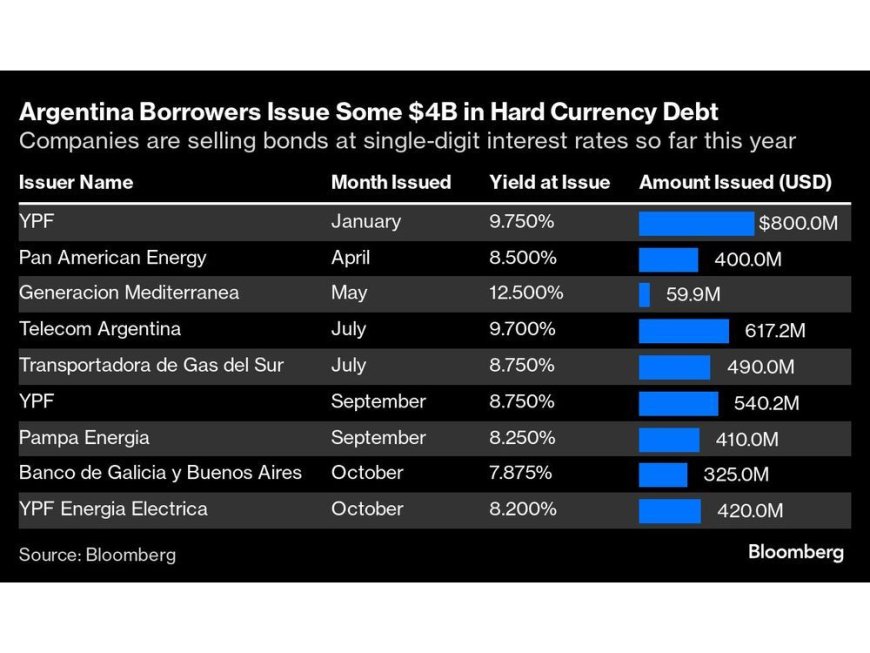 Milei Gets Vote of Confidence in Wave of Argentine Debt Sales --[Reported by Umva mag]