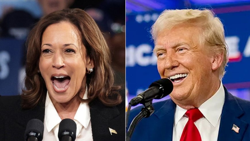 Harris and Trump tied in battleground Michigan, Senate race on razor's edge: AARP poll --[Reported by Umva mag]