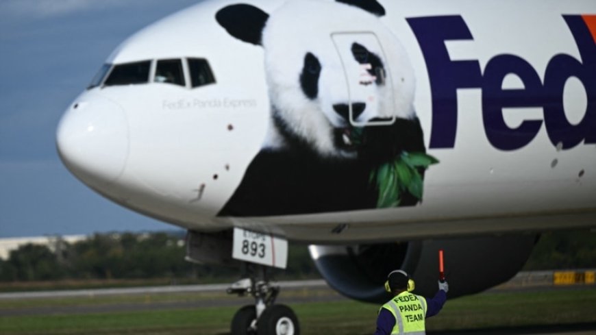 Chinese Pandas arrive in US, headed to National Zoo in Washington --[Reported by Umva mag]