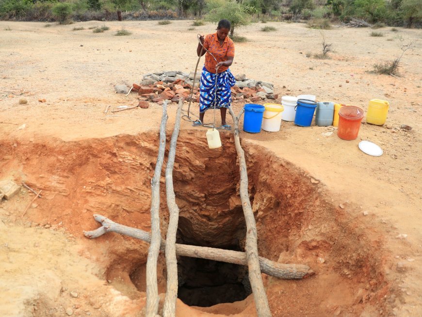 Worst drought in century devastates Southern Africa with millions at risk --[Reported by Umva mag]