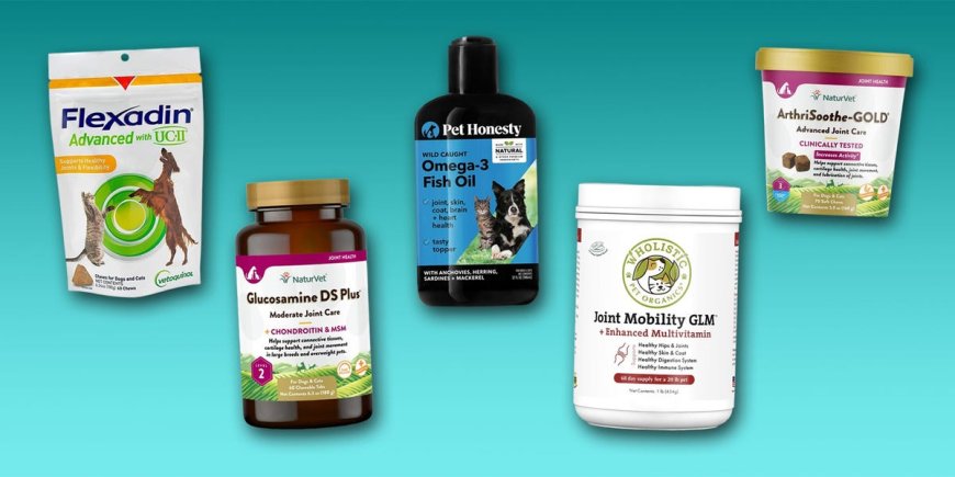 The 5 best joint supplements for dogs in 2024, with advice from vets --[Reported by Umva mag]