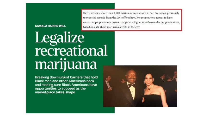 Kamala Harris Calls for Legalizing Marijuana on X – But as San Francisco District Attorney She Oversaw 1,900 Prosecutions for Marijuana Offenses, More than Her Predecessor --[Reported by Umva mag]