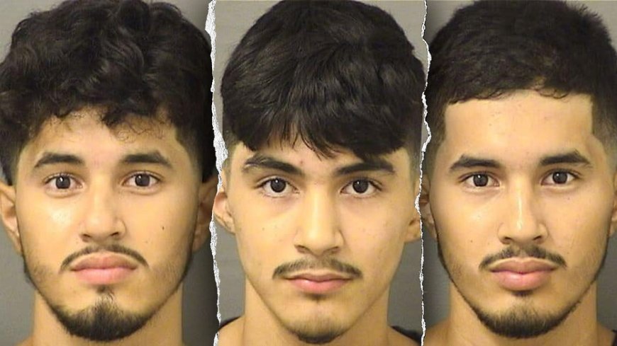 Illegal immigrants arrested in wealthy Florida county for sexual crimes against a child --[Reported by Umva mag]