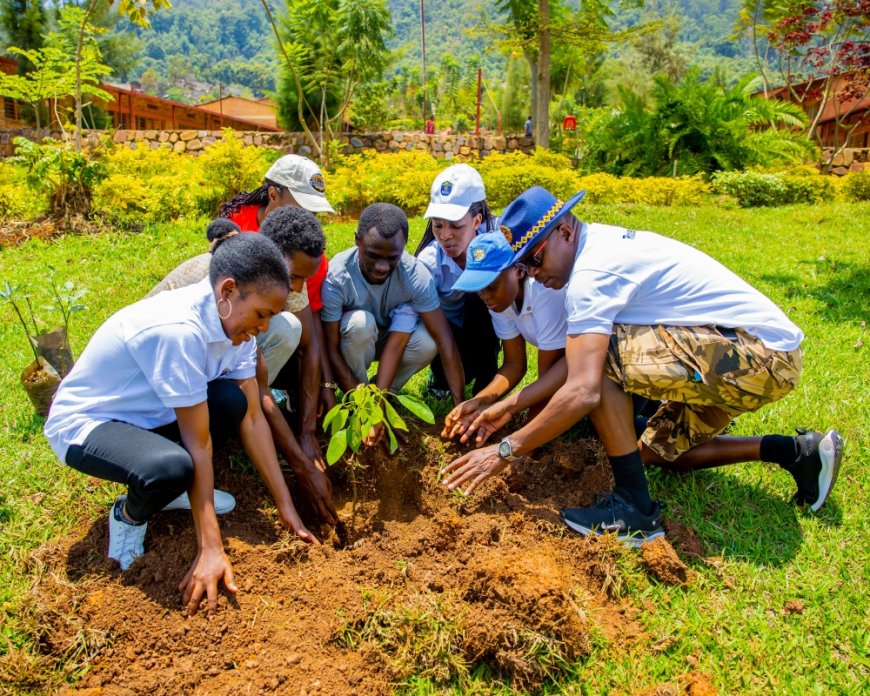 Rotarians join hands for tree planting initiative --[Reported by Umva mag]