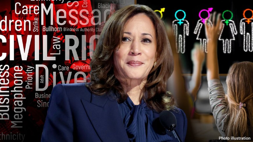 WOKE WARRIORS FOR HARRIS: The wackiness is just getting started --[Reported by Umva mag]