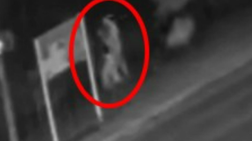 Cops share CCTV of 3 mystery figures they are hunting after missing boy, 16, found dead in river --[Reported by Umva mag]