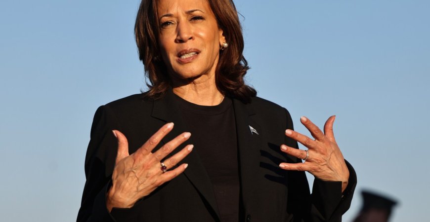 The nightmare facing Democrats, even if Harris wins --[Reported by Umva mag]