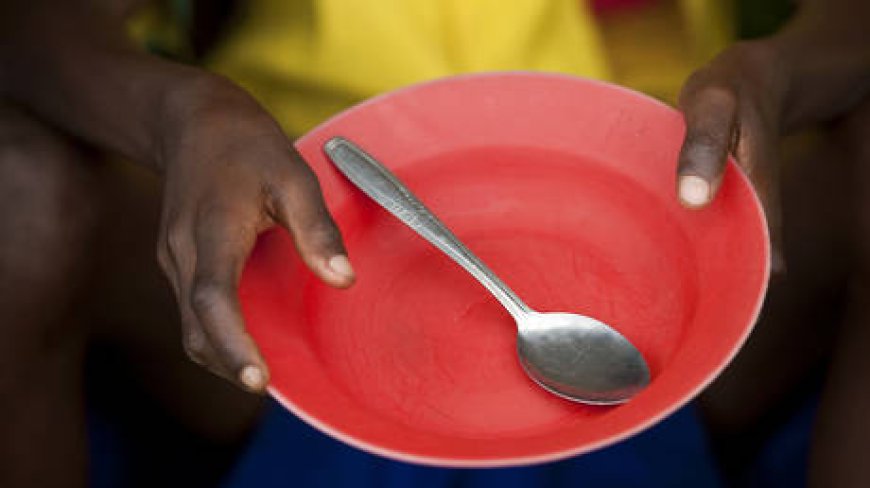 Southern Africa facing worst food crisis in decades – UN --[Reported by Umva mag]