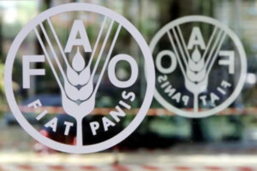 FAO working to expand Philippine Anticipatory Action project --[Reported by Umva mag]