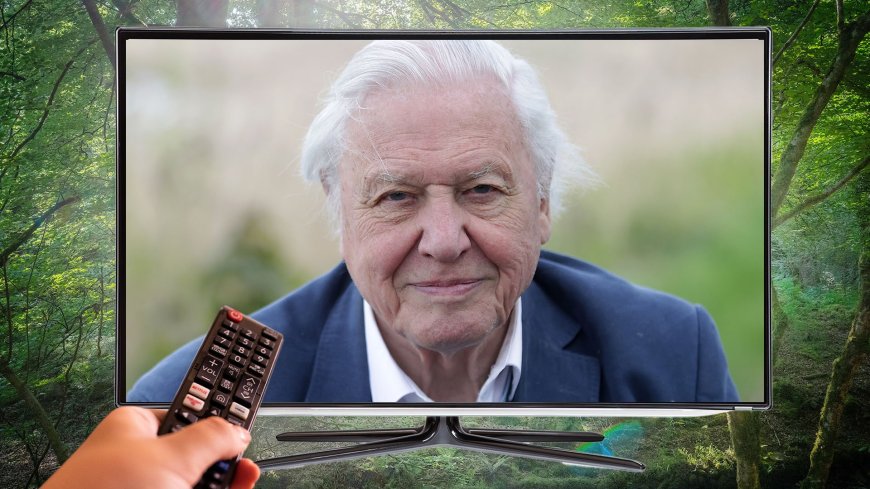 Premium channel on Sky and Virgin Media is now FREE for everyone – with shows from David Attenborough and more --[Reported by Umva mag]