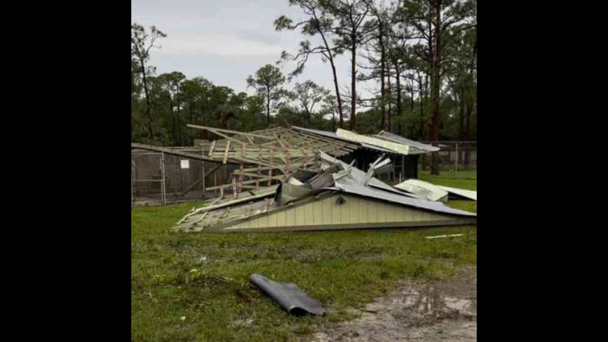 Shelter That Saves Thousands of Animals Each Year Destroyed by Tornado During Hurricane Milton --[Reported by Umva mag]