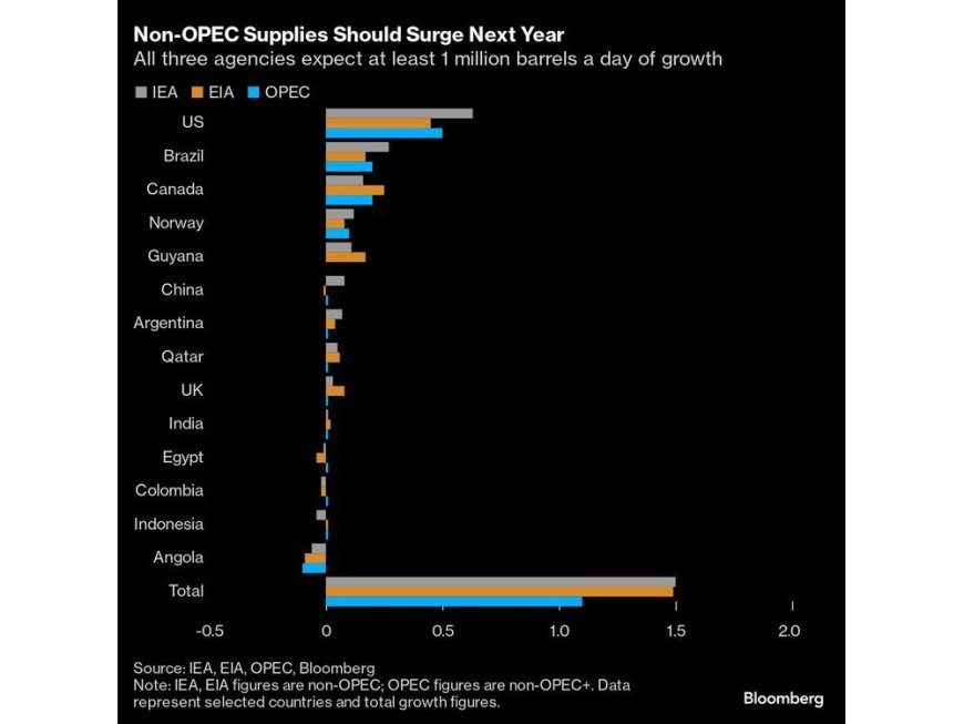 Why Oil Traders Have Become So Pessimistic About 2025 --[Reported by Umva mag]