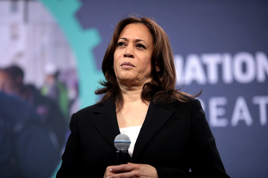 REPORT: Kamala Harris’s Campaign in Pennsylvania Plagued by Infighting and Internal Divisions --[Reported by Umva mag]