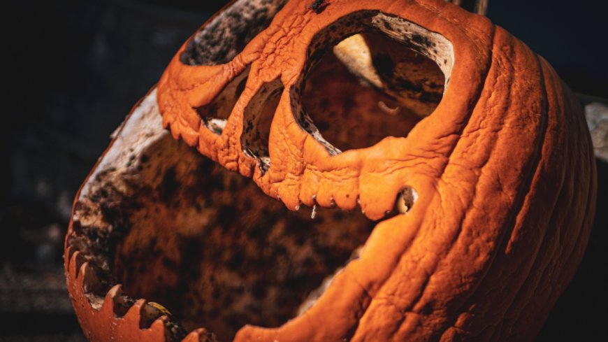 When to Carve Your Pumpkins so They Don’t Rot Before Halloween --[Reported by Umva mag]