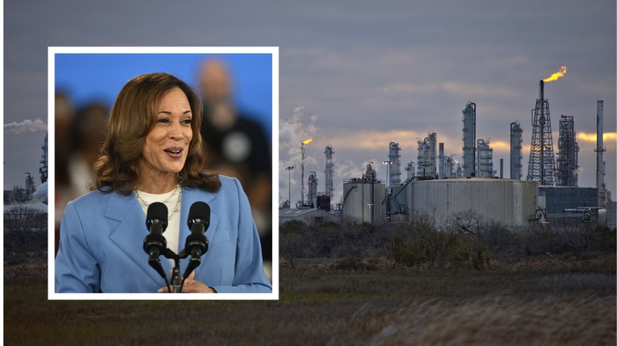 Harris touts oil production during 2024 run after saying companies need to 'pay the price' for climate change --[Reported by Umva mag]