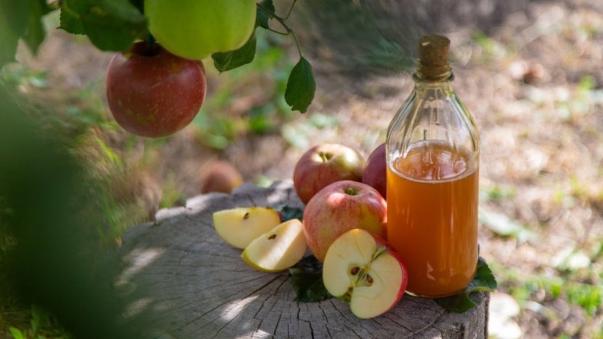 Raw Cider Is Just As Unsafe As Raw Milk --[Reported by Umva mag]