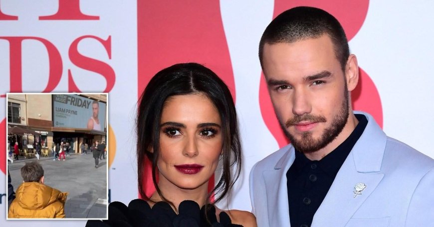 Liam Payne’s heartbreaking last photo of his and Cheryl’s son Bear, 7, before death --[Reported by Umva mag]