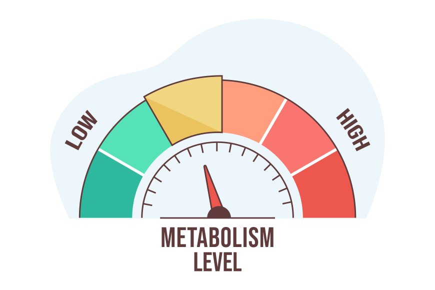 When is your metabolism the fastest during the day? --[Reported by Umva mag]