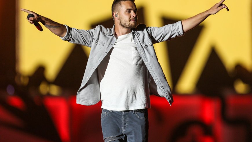 I saw Liam go from warm ‘dad’ of 1D to consummate pro solo star…but demons took him from highest highs to lowest lows --[Reported by Umva mag]