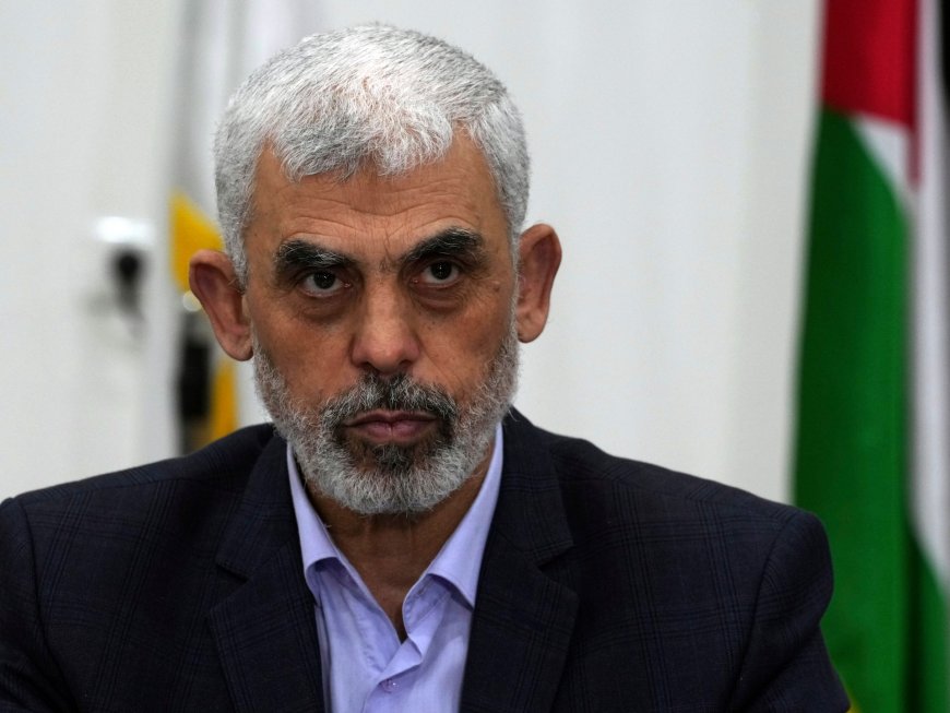 Israel investigating whether Hamas’s Sinwar killed in Gaza attack --[Reported by Umva mag]