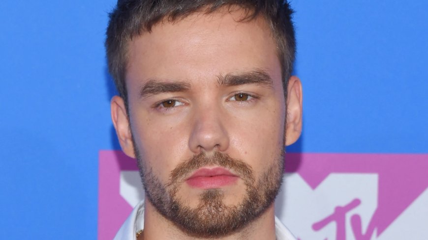 Liam Payne cops searching for two ‘key witnesses’ among last to see tragic star alive as his ‘notebook & phone seized’ --[Reported by Umva mag]