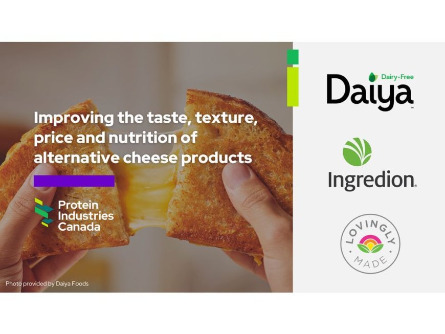 Companies partnering to improve plant-based cheese options --[Reported by Umva mag]