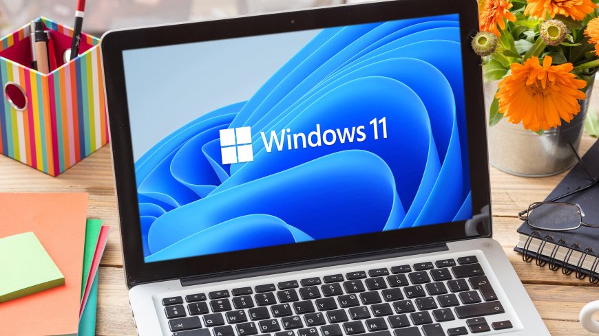 Tiny 11 can shrink Windows 11 24H2 disk space requirement by over 80% --[Reported by Umva mag]