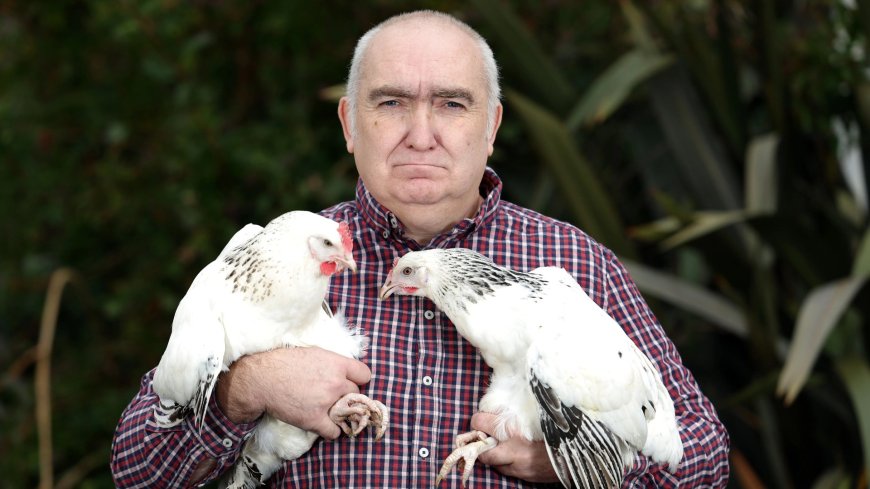 Animal rescuer awarded huge sum in damages from cops — after being arrested for nicking a chicken --[Reported by Umva mag]