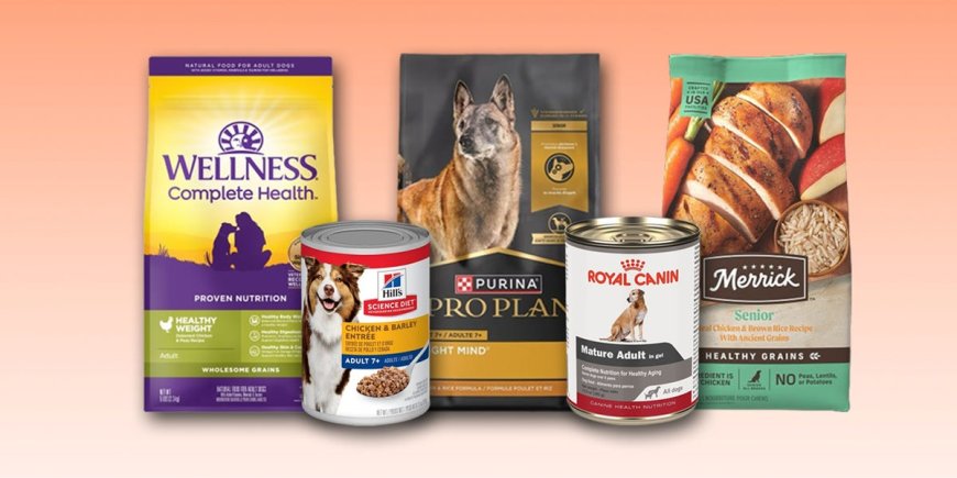 The best senior dog food in 2024, with advice from veterinarians --[Reported by Umva mag]