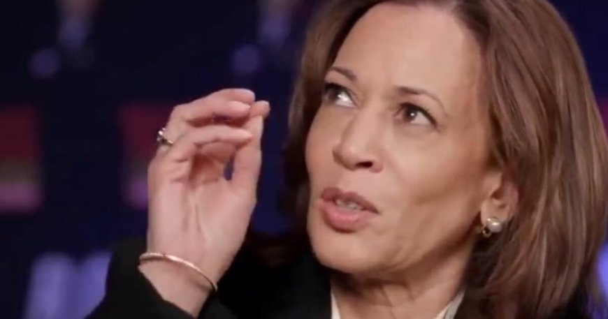 Muslims Activists ‘Blitzing’ Mosques in Michigan to Thwart Kamala Harris, Slamming Her ‘Blatant Disregard’ For Human Life --[Reported by Umva mag]