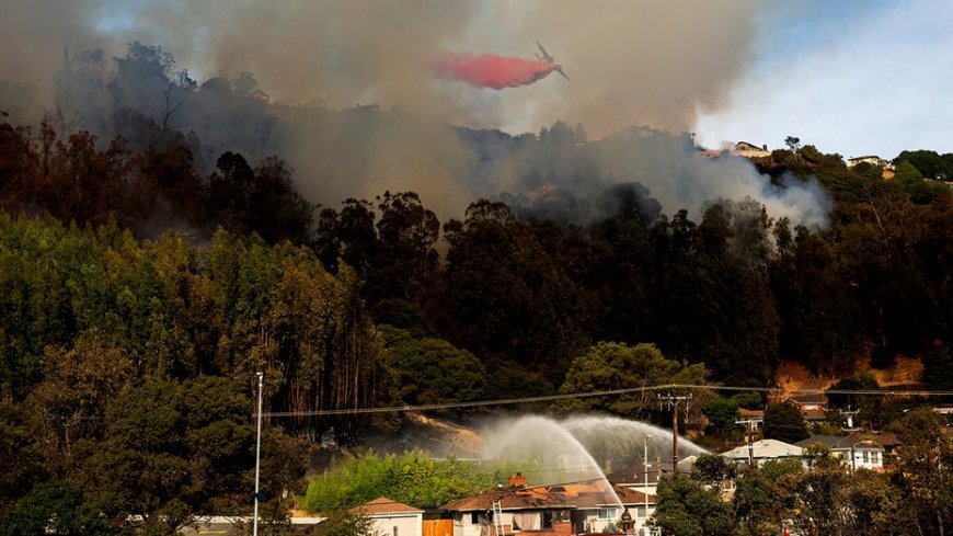 Hundreds ordered to evacuate from fast-moving Northern California fire, official says --[Reported by Umva mag]