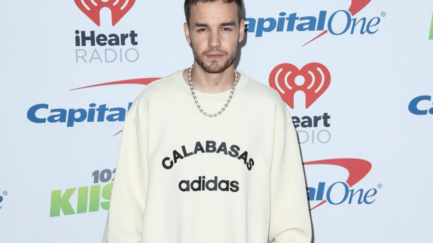 One Direction fan launches a GoFundMe fundraiser page in Liam Payne’s name for charity close to star’s heart --[Reported by Umva mag]