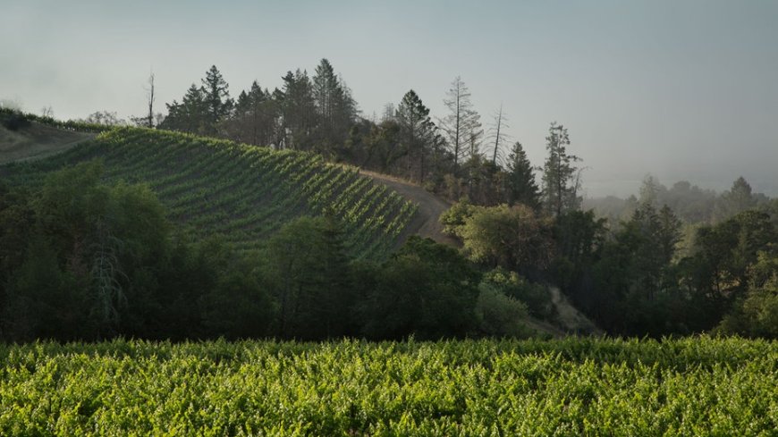 10 wine caves around California that offer unique tours for visitors --[Reported by Umva mag]