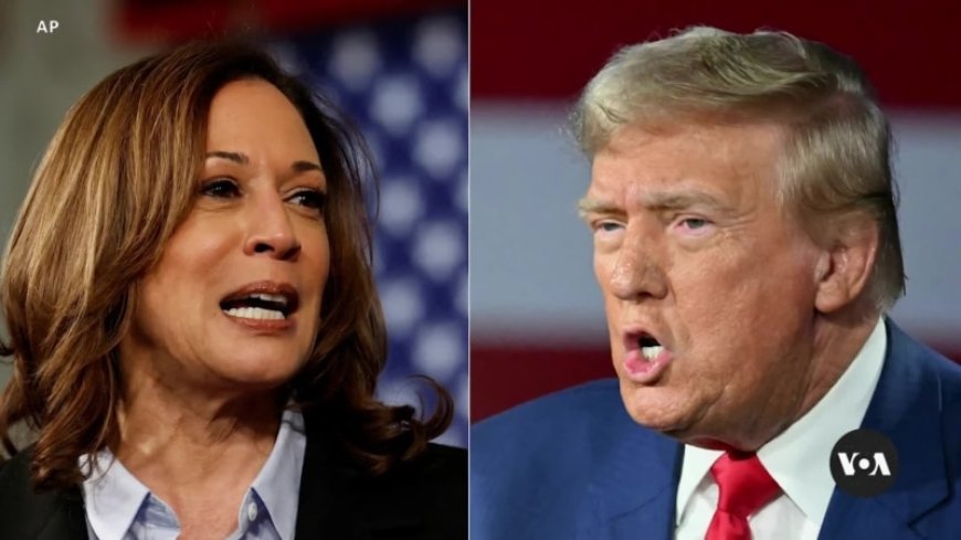 ‘Enemy within,’ ‘unhinged,’ Trump, Harris’ campaign rhetoric heats up --[Reported by Umva mag]