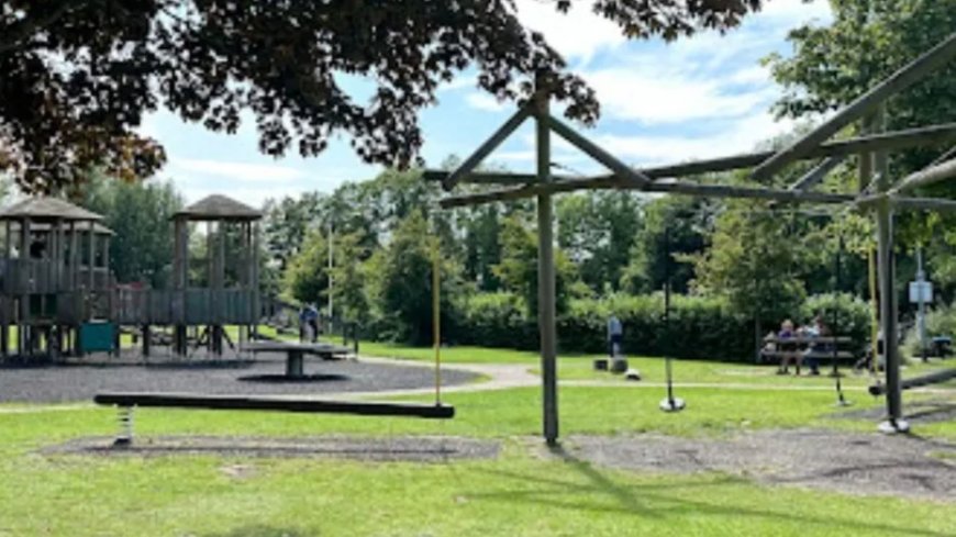 Woman ‘raped at children’s playground’ as cops in desperate search for ‘teenage attacker who was with three other men’ --[Reported by Umva mag]